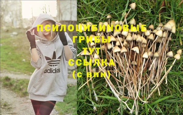 дживик Балабаново