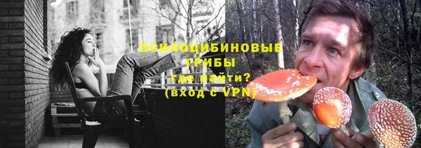 дживик Баксан