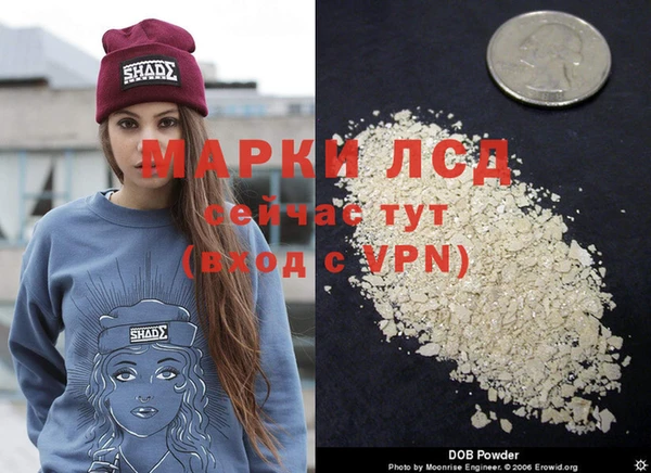 дживик Баксан